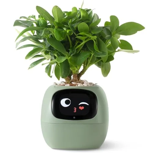 PLANTSIO Intelligenter Pflanzroboter mit Emojis zur Pflanzenpflege, Bezaubernder Pflanzenbegleiter mit umfassender Gesteninteraktion, Gartentopf als Geschenk für den Schreibtisch (Grün)