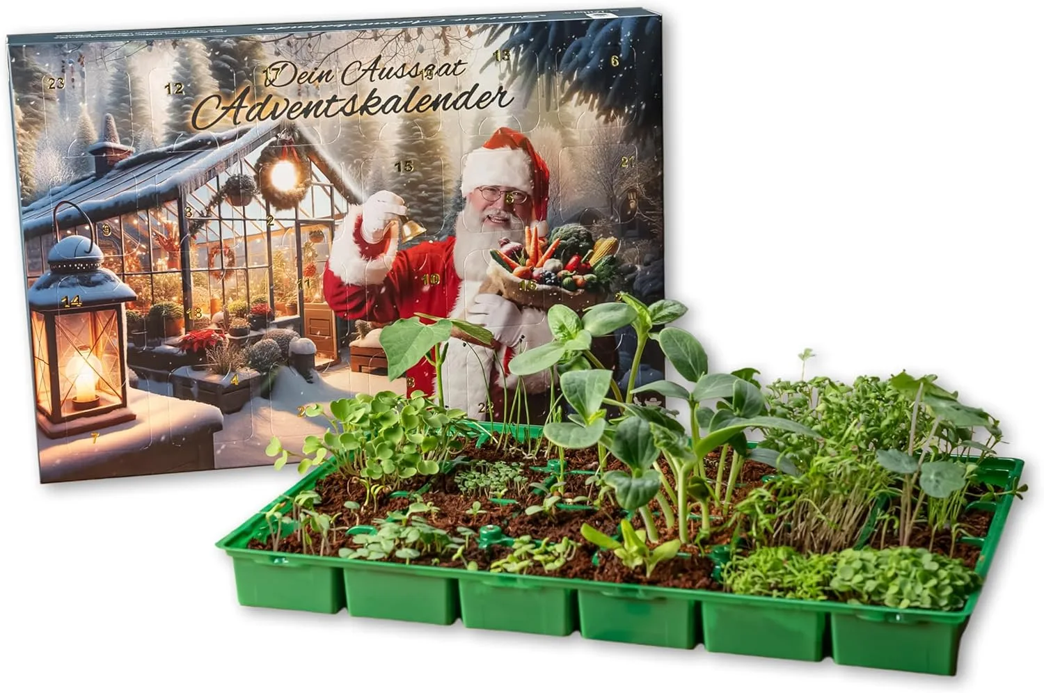 Der Gartencoach Adventskalender 2025 | Dein Aussaat & Anzucht Adventskalender mit Saatgut und Gewächshaus | Der Samen Weihnachtskalender für deinen Garten | Geschenk für alle Gartenfreunde