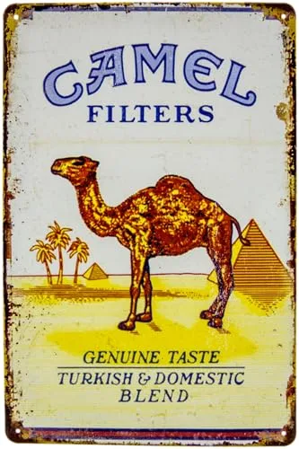 30 x 20 cm Blechschild passend für Camel Liebhaber - Retro Zigaratten Werbung, Vintage Bar Deko