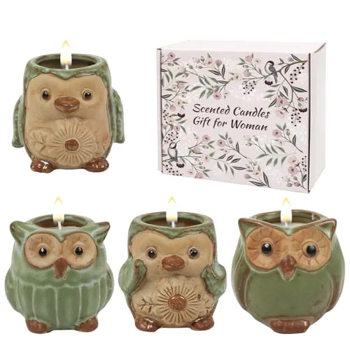 ONBAGLST Duftkerzen im Glas, Duftkerzen-Geschenkset zur Stressbewältigung, 4-Kerzen-Set für Frauen und Männer, Weihnachtskerzen Geburtstagskerzen-Geschenke für Frauen (Pinguin decoration)