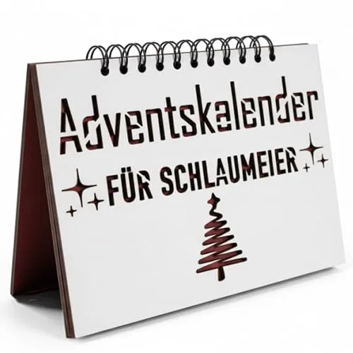 Logik und Rätsel Adventskalender 2025 - Tolles Adventsgeschenk - Weihnachtlicher Rätselspaß für die ganze Familie
